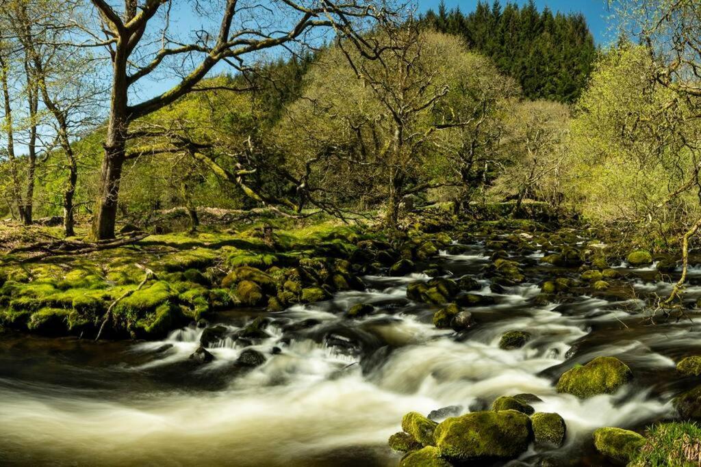 Tanygrisiau Charming Riverside Cottage In Snowdonia National Park מראה חיצוני תמונה