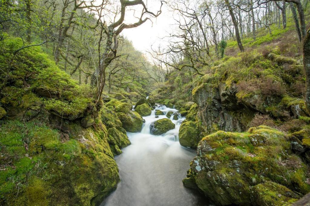 Tanygrisiau Charming Riverside Cottage In Snowdonia National Park מראה חיצוני תמונה